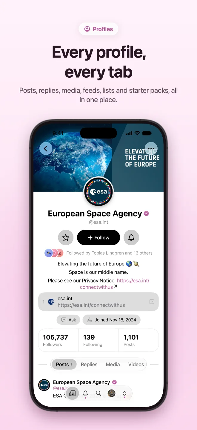 iPhone: Every profile, every tab